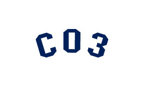 Large_company3